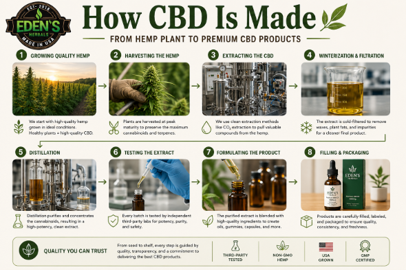 How CBD Is Made: From Hemp Plant to Premium CBD Products